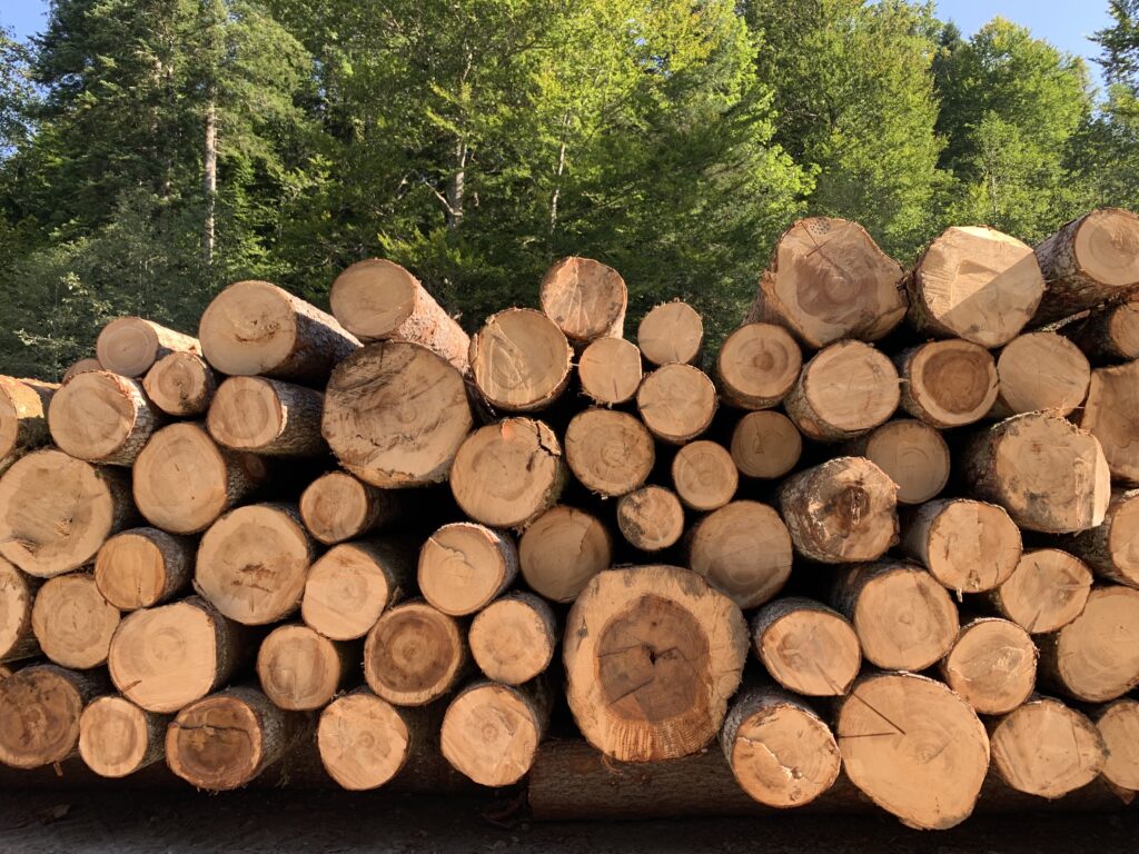 Forst- und Holzarbeiten, Mellau